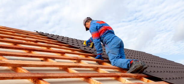 Best Roof Moss and Algae Removal  in , NM