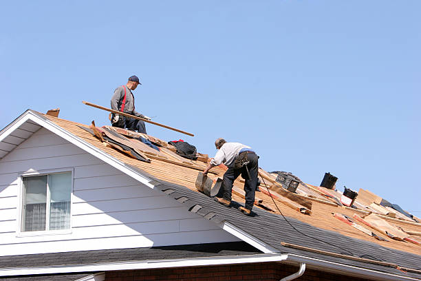 Best Roof Repair  in , NM